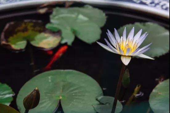 微信图片_20190601212627.jpg 微信图片_20190601212627.jpg